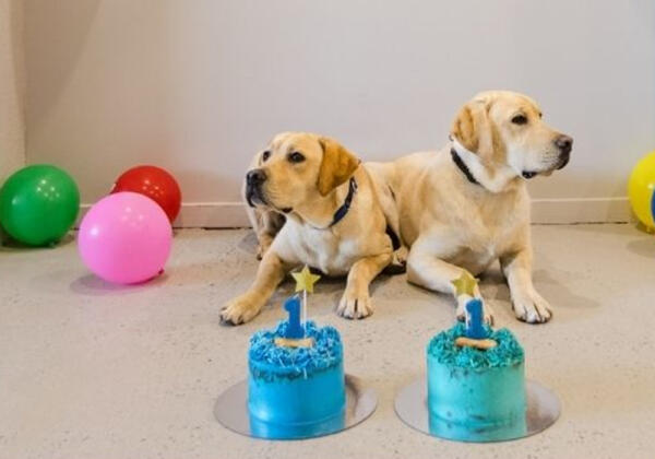 Henry-george-birthday