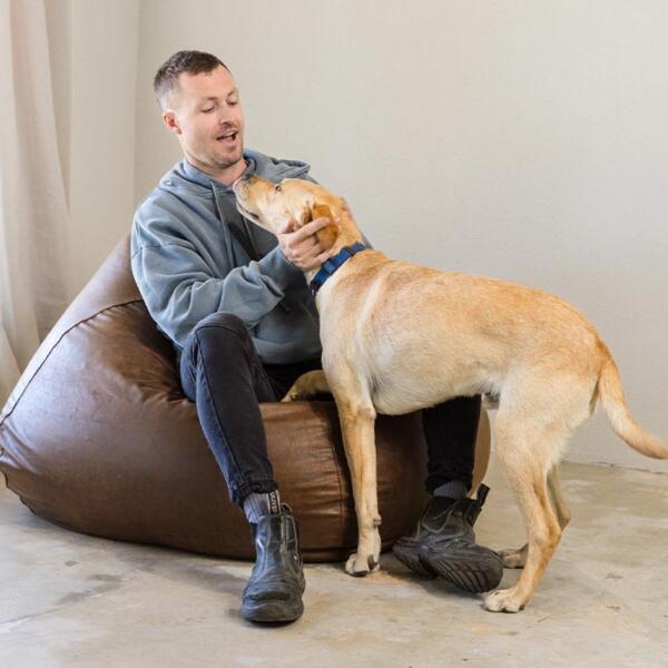 Animal-assisted positive psychology services in Ballarat