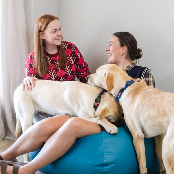 Year 12 puppy pause program